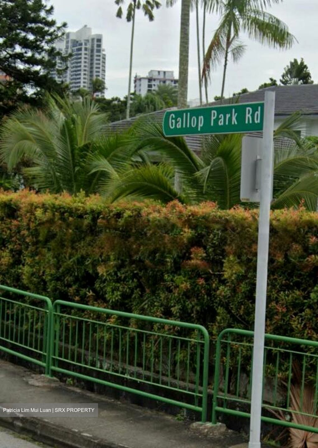 Gallop Road (D10), Detached #467650641